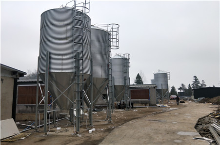 20噸大牧人料塔養殖場飼料塔